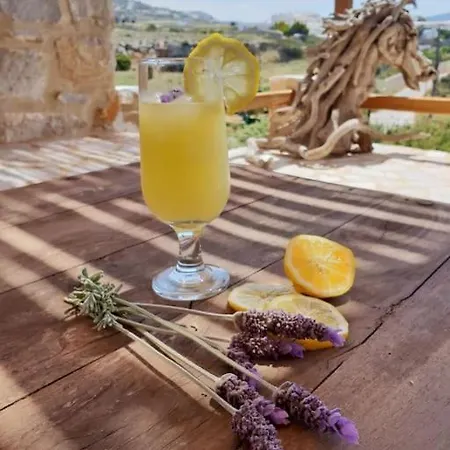 Blue Parikia (Paros)