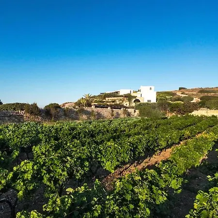 Blue Villa Parikia (Paros)